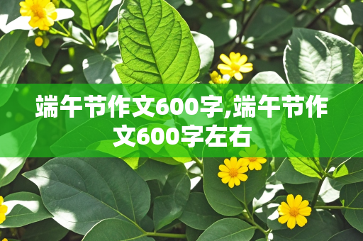 端午节作文600字,端午节作文600字左右