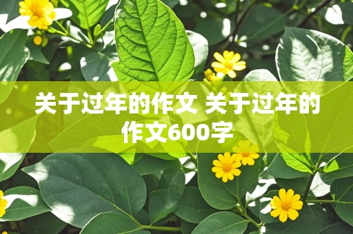 关于过年的作文 关于过年的作文600字