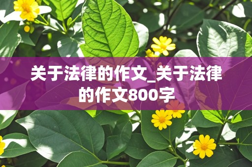 关于法律的作文_关于法律的作文800字