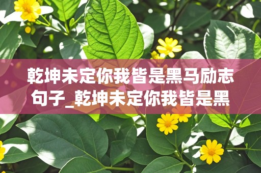 乾坤未定你我皆是黑马励志句子_乾坤未定你我皆是黑马完整句子