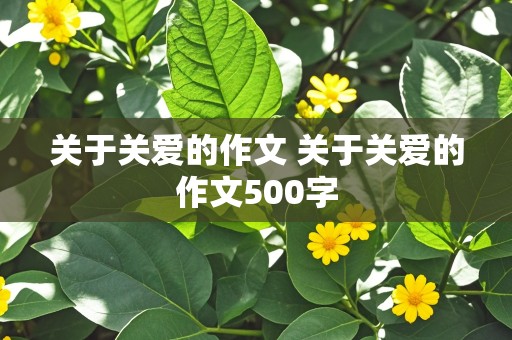 关于关爱的作文 关于关爱的作文500字