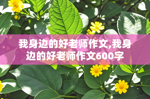 我身边的好老师作文,我身边的好老师作文600字