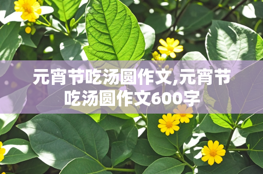 元宵节吃汤圆作文,元宵节吃汤圆作文600字