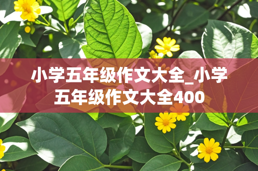 小学五年级作文大全_小学五年级作文大全400