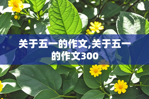 关于五一的作文,关于五一的作文300