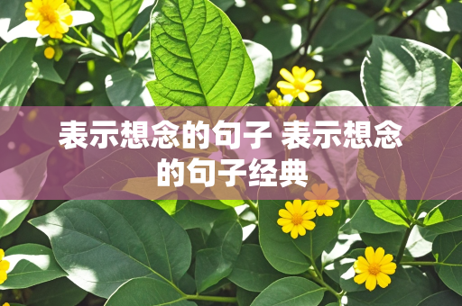 表示想念的句子 表示想念的句子经典