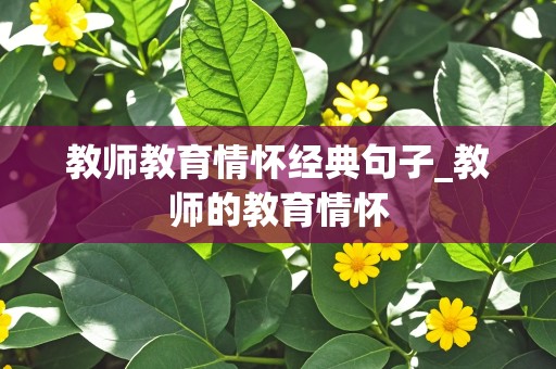 教师教育情怀经典句子_教师的教育情怀