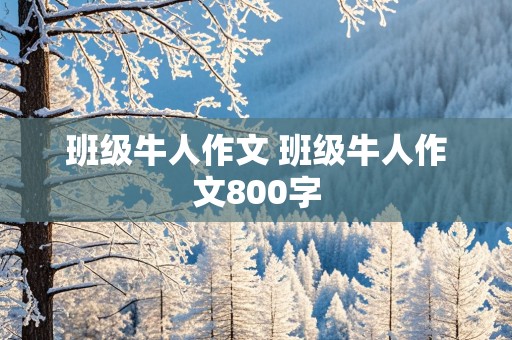 班级牛人作文 班级牛人作文800字