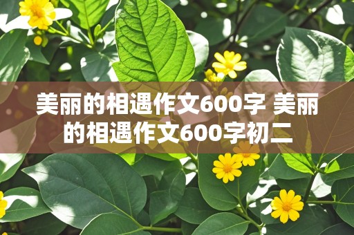 美丽的相遇作文600字 美丽的相遇作文600字初二