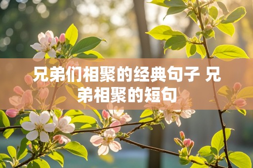 兄弟们相聚的经典句子 兄弟相聚的短句