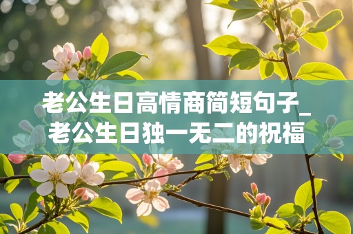 老公生日高情商简短句子_老公生日独一无二的祝福