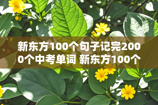 新东方100个句子记完2000个中考单词 新东方100个句子记完2000个中考单词有用吗