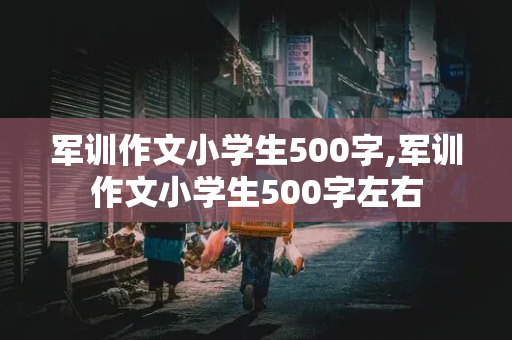 军训作文小学生500字,军训作文小学生500字左右