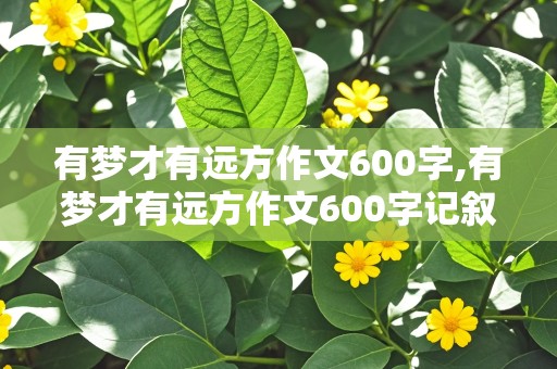 有梦才有远方作文600字,有梦才有远方作文600字记叙文