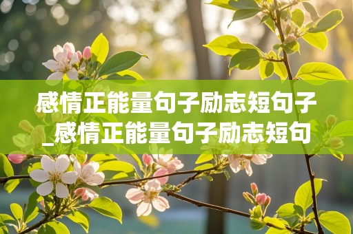 感情正能量句子励志短句子_感情正能量句子励志短句子大全