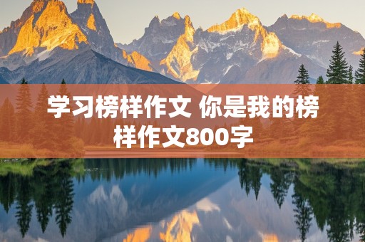 学习榜样作文 你是我的榜样作文800字