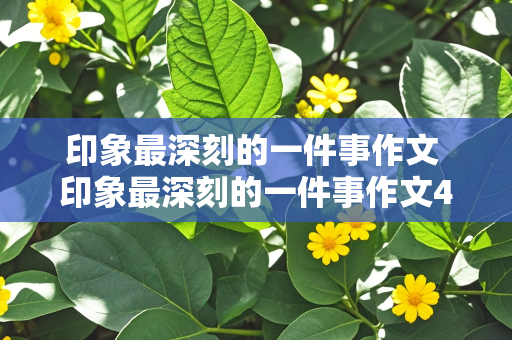 印象最深刻的一件事作文 印象最深刻的一件事作文400字