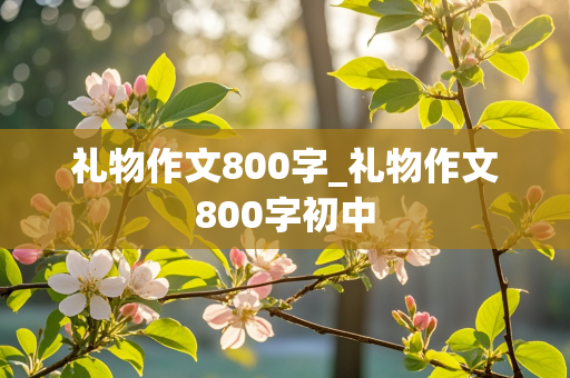 礼物作文800字_礼物作文800字初中