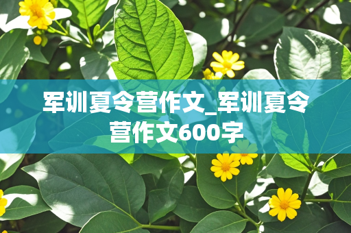 军训夏令营作文_军训夏令营作文600字