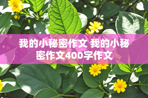 我的小秘密作文 我的小秘密作文400字作文