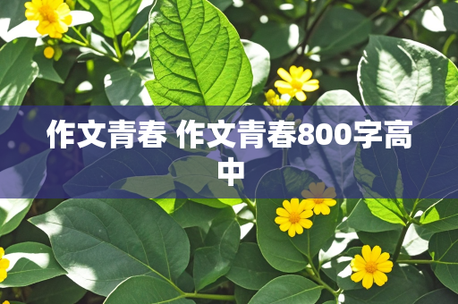 作文青春 作文青春800字高中