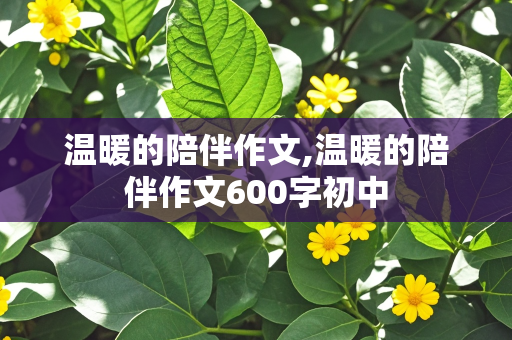 温暖的陪伴作文,温暖的陪伴作文600字初中