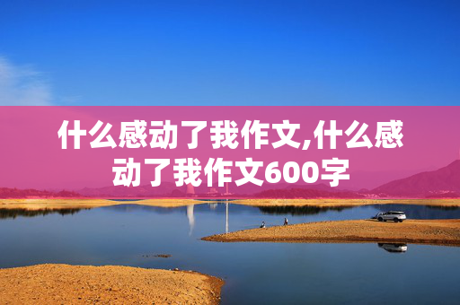 什么感动了我作文,什么感动了我作文600字