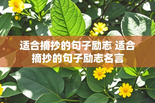 适合摘抄的句子励志 适合摘抄的句子励志名言