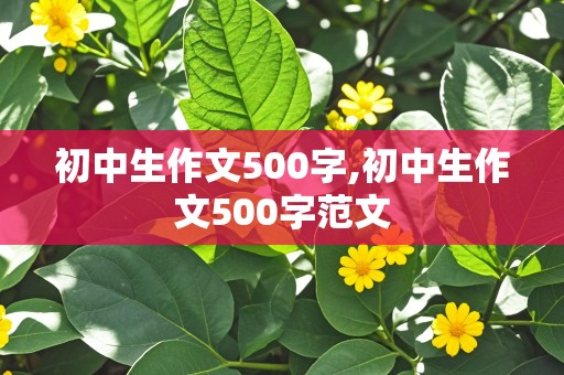 初中生作文500字,初中生作文500字范文