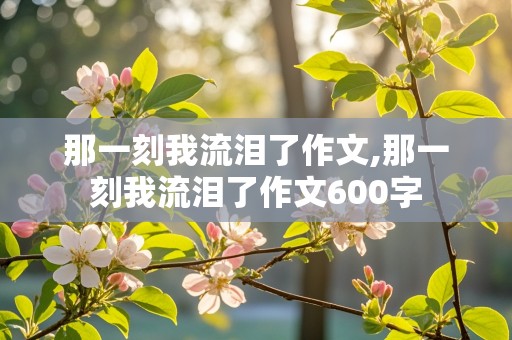 那一刻我流泪了作文,那一刻我流泪了作文600字