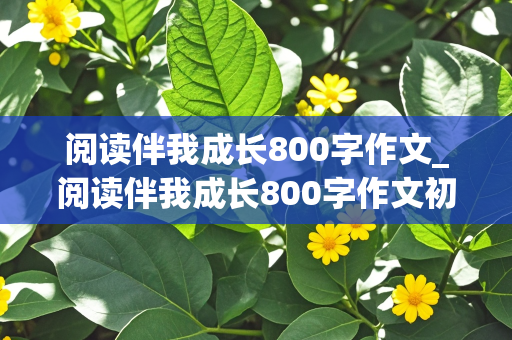 阅读伴我成长800字作文_阅读伴我成长800字作文初中