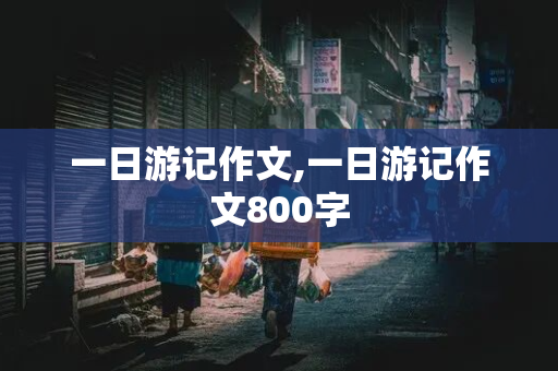 一日游记作文,一日游记作文800字