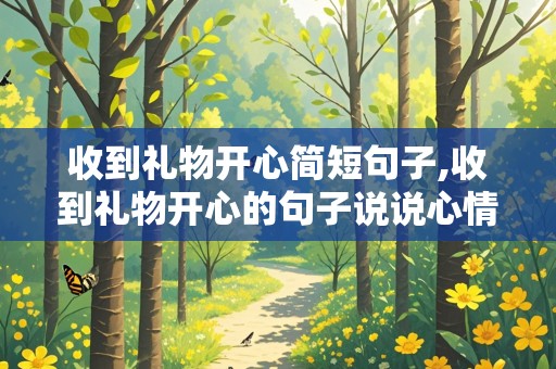 收到礼物开心简短句子,收到礼物开心的句子说说心情