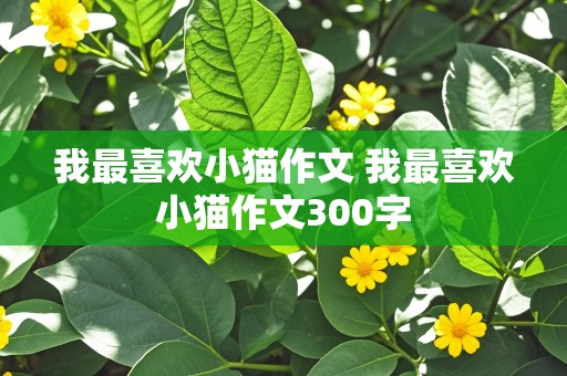 我最喜欢小猫作文 我最喜欢小猫作文300字