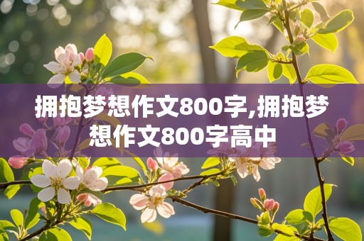 拥抱梦想作文800字,拥抱梦想作文800字高中