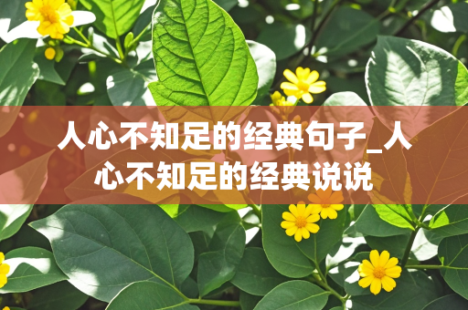 人心不知足的经典句子_人心不知足的经典说说