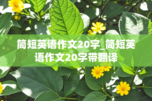 简短英语作文20字_简短英语作文20字带翻译