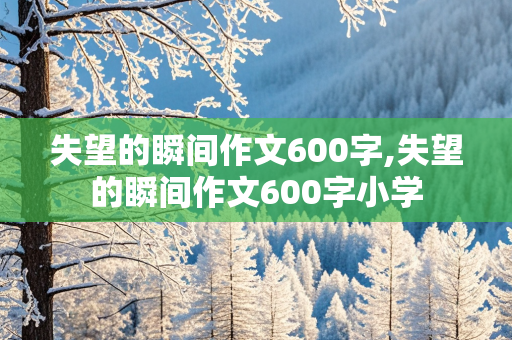 失望的瞬间作文600字,失望的瞬间作文600字小学