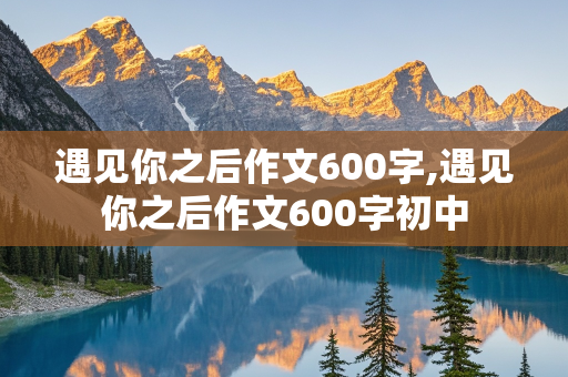 遇见你之后作文600字,遇见你之后作文600字初中