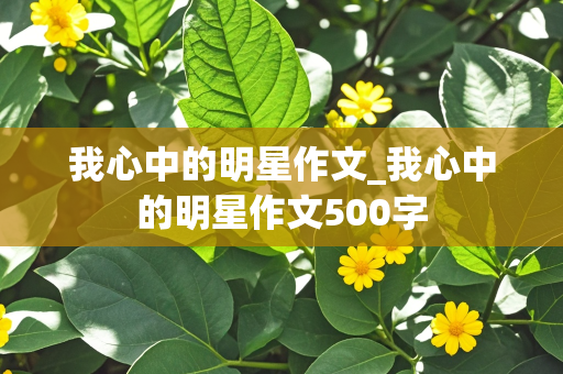 我心中的明星作文_我心中的明星作文500字