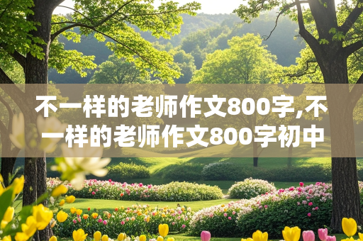 不一样的老师作文800字,不一样的老师作文800字初中