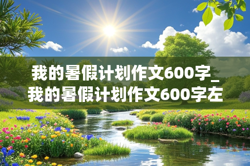 我的暑假计划作文600字_我的暑假计划作文600字左右