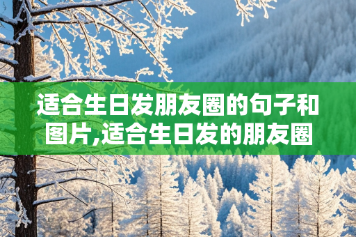 适合生日发朋友圈的句子和图片,适合生日发的朋友圈文案和图片