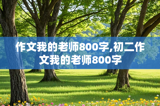 作文我的老师800字,初二作文我的老师800字