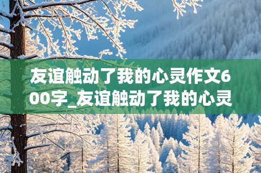 友谊触动了我的心灵作文600字_友谊触动了我的心灵作文600字作文