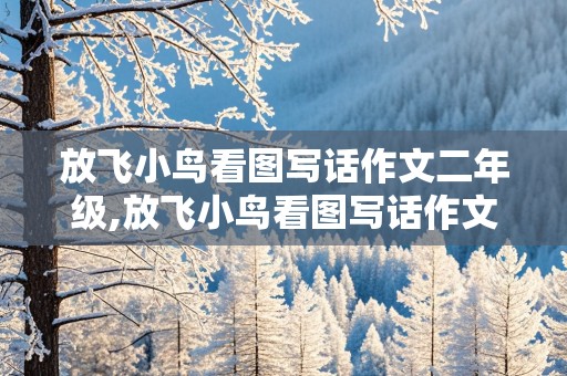 放飞小鸟看图写话作文二年级,放飞小鸟看图写话作文二年级50字