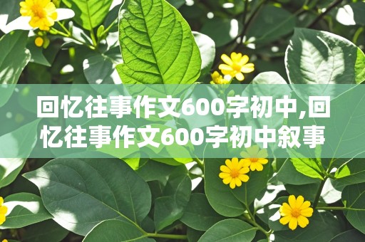 回忆往事作文600字初中,回忆往事作文600字初中叙事