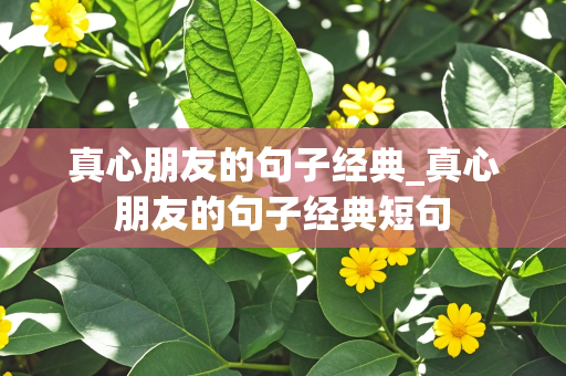 真心朋友的句子经典_真心朋友的句子经典短句