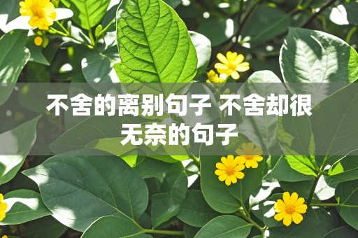 不舍的离别句子 不舍却很无奈的句子