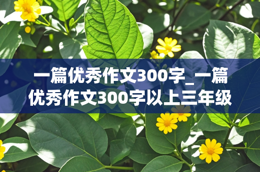 一篇优秀作文300字_一篇优秀作文300字以上三年级